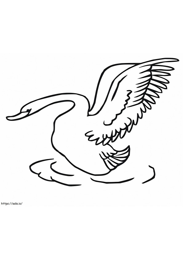 Cisne decolando