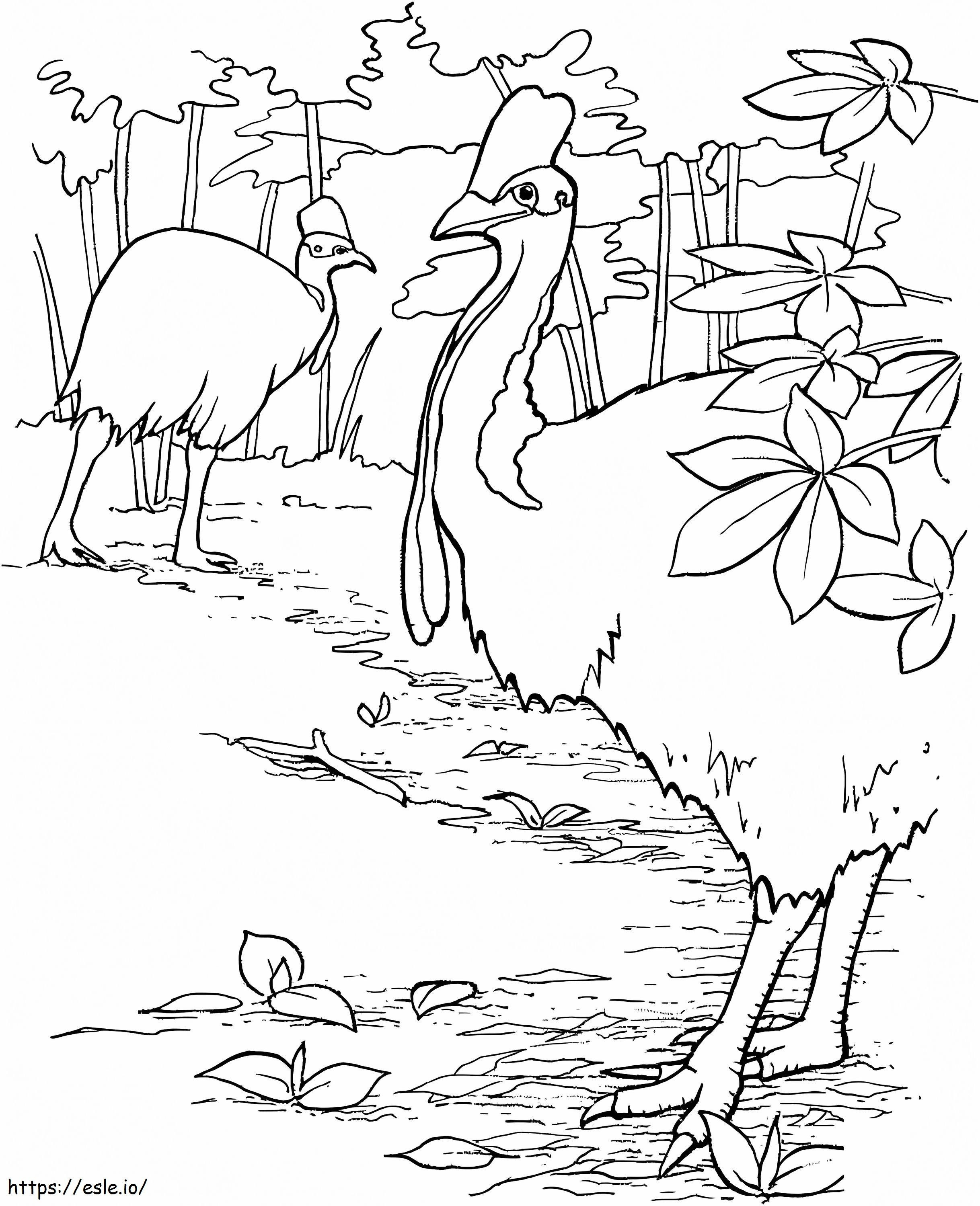 Emu Birds coloring page