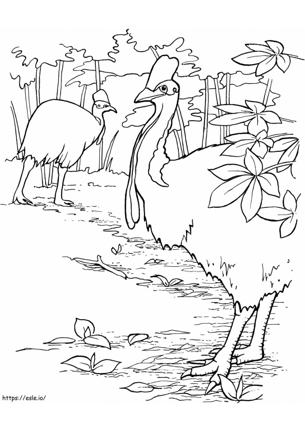 Emu Birds coloring page