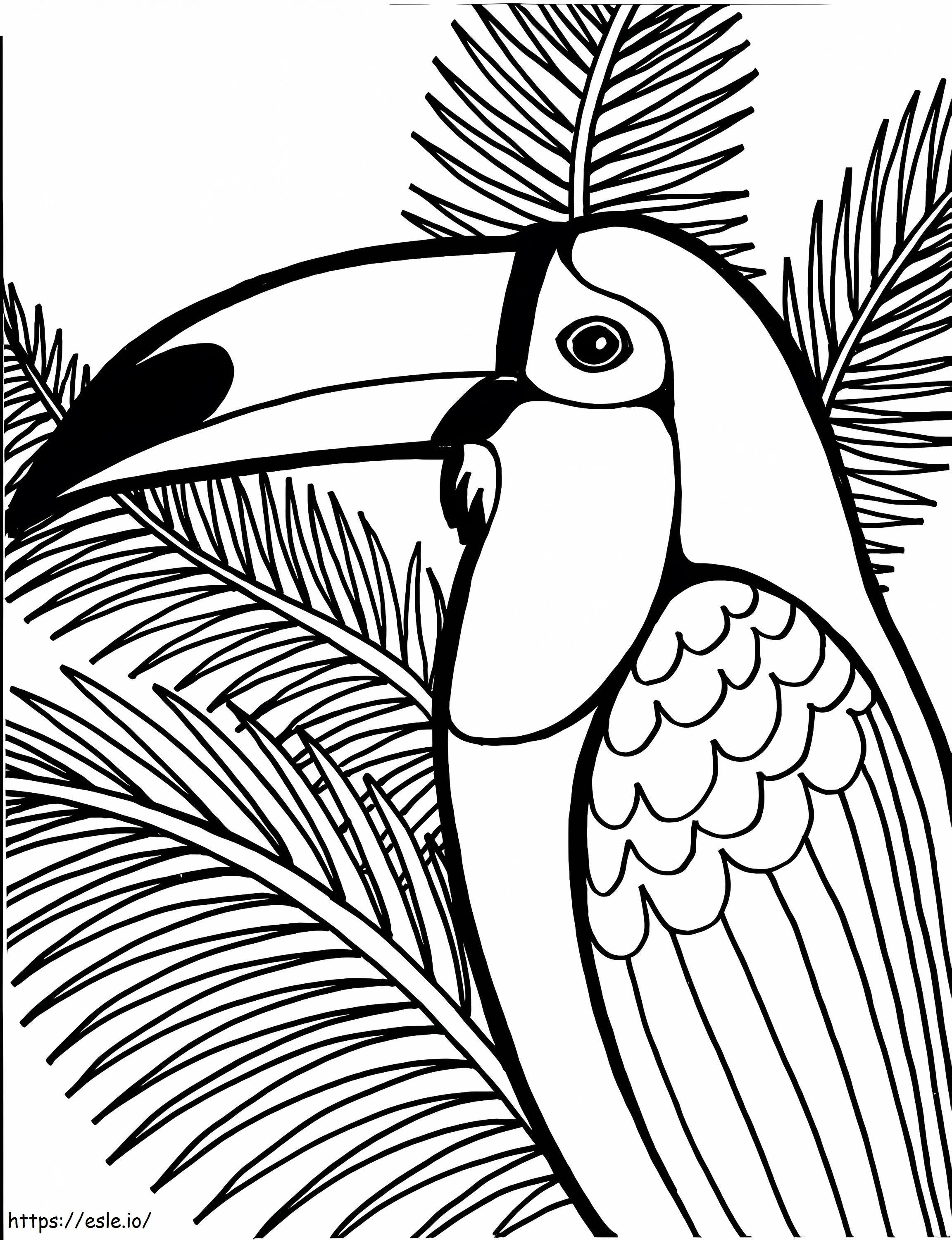 Coloriage Oiseau toucan 3 à imprimer dessin