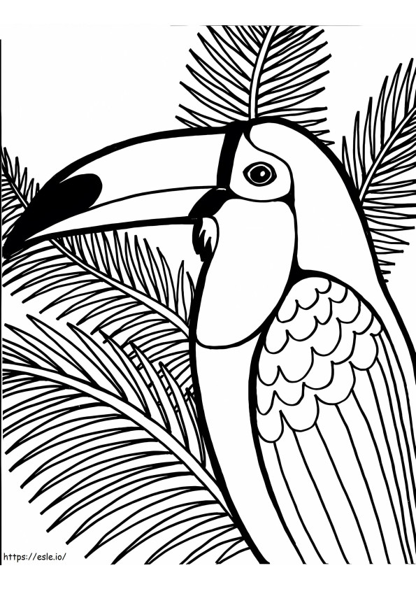 Pasărea Tucan 3 de colorat