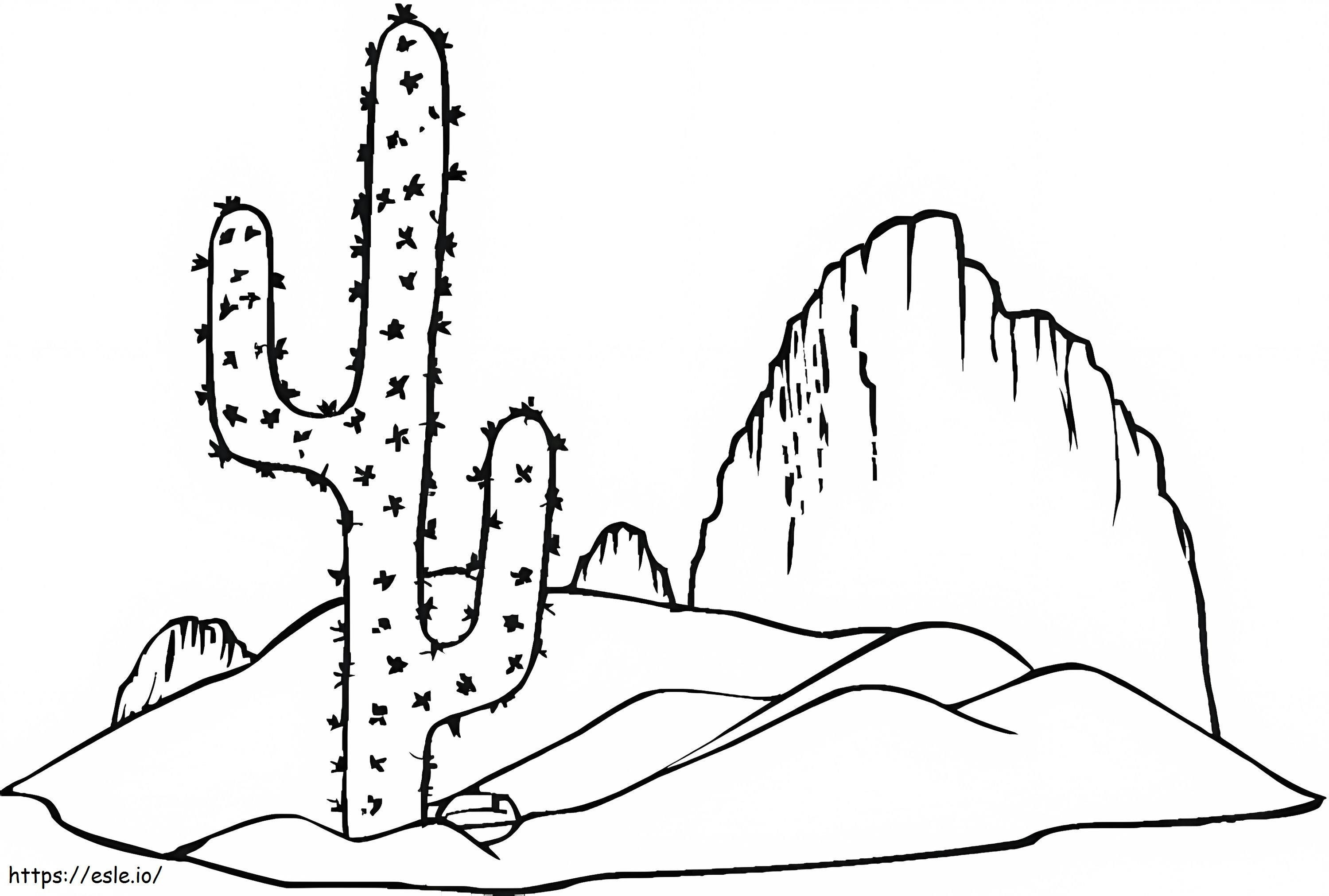 Cactus în deșert de colorat