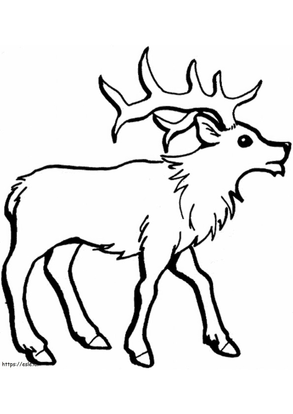 Reindeer Drawing coloring page