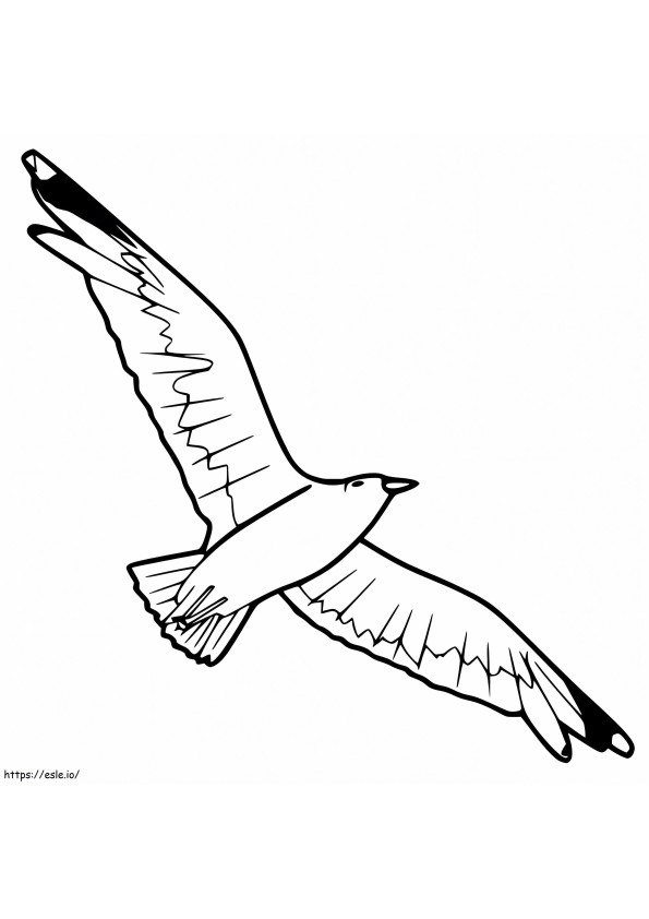 Flying Albatross coloring page