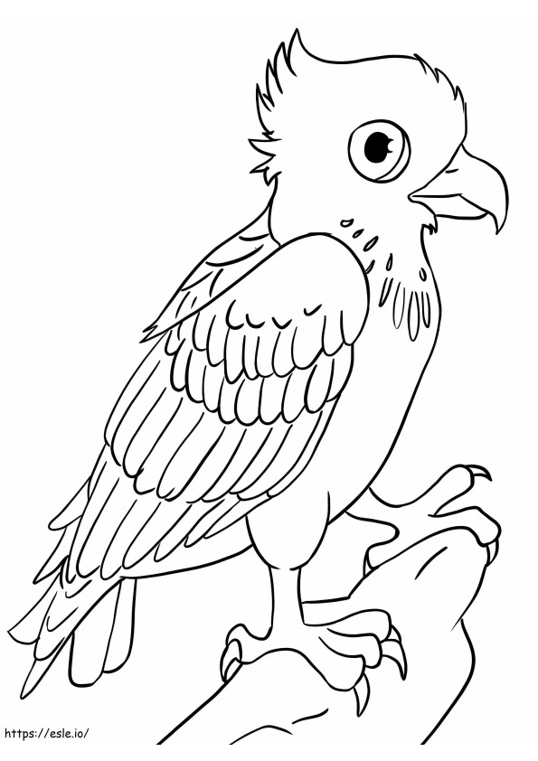 Osprey kecil