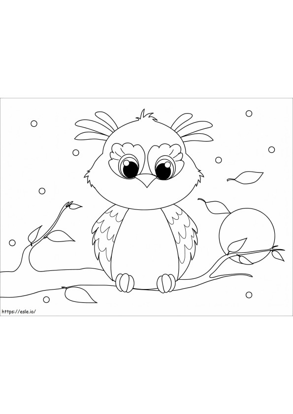 Pretty Owl coloring page