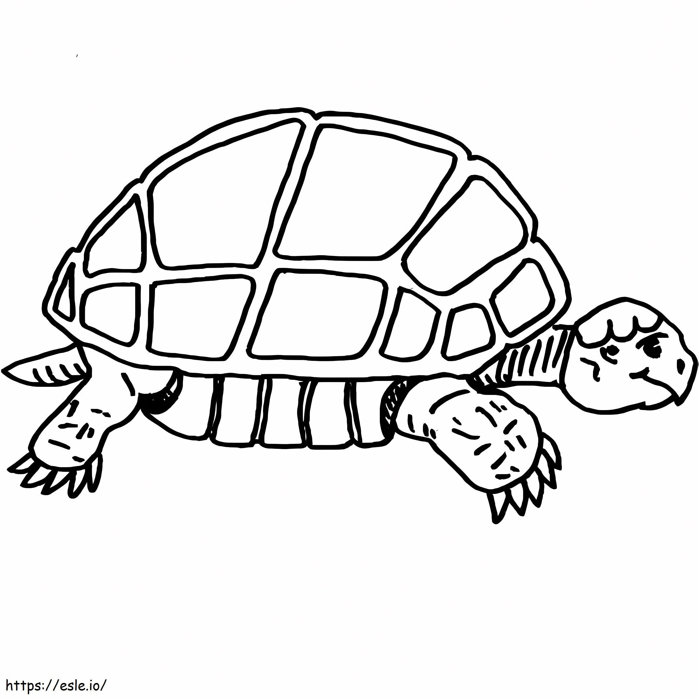 Langsame Schildkröte ausmalbilder