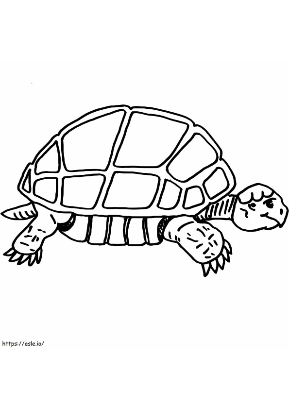 Langzame schildpad kleurplaat