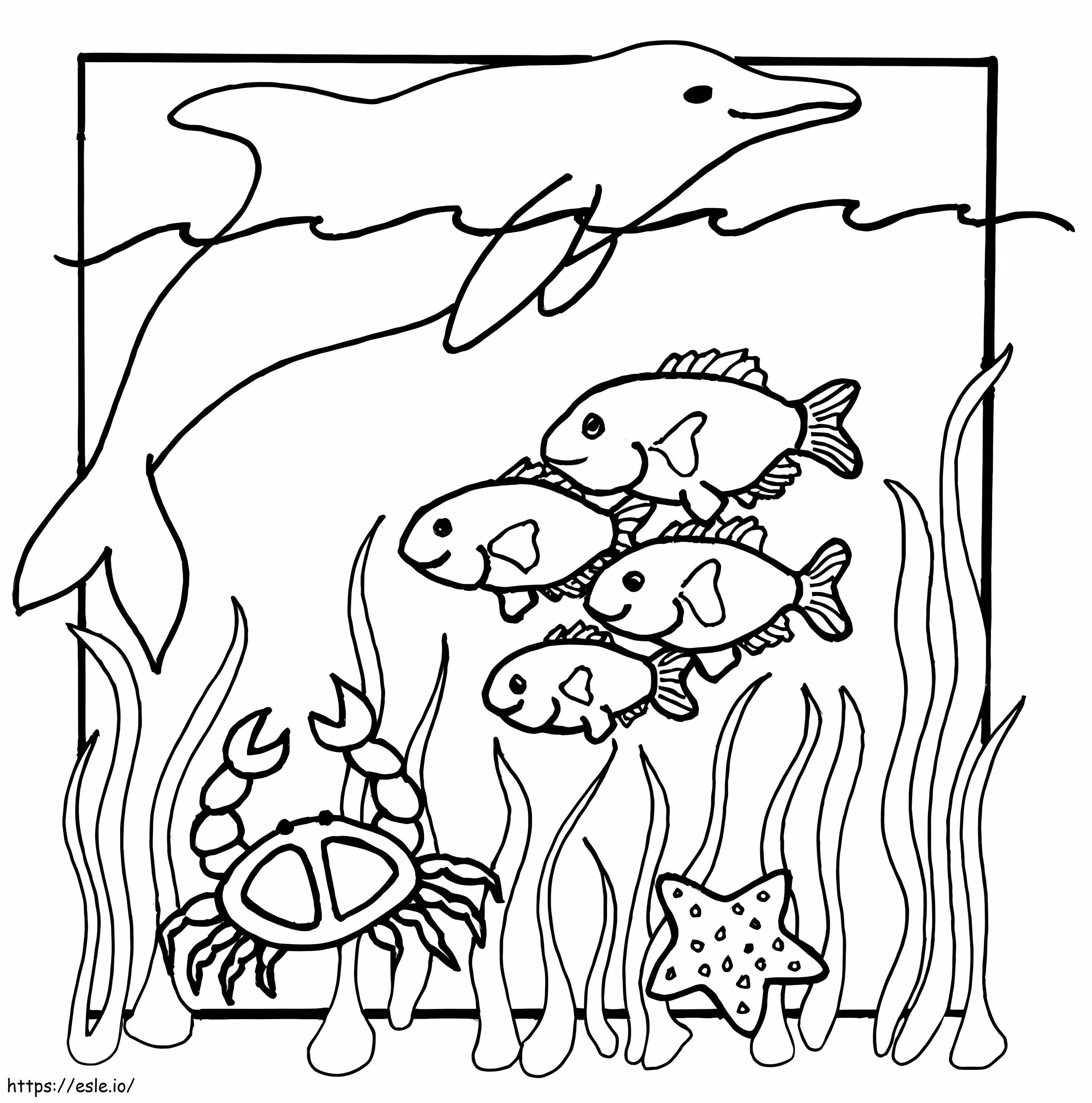 Coloriage Dessin d'animaux marins à imprimer dessin