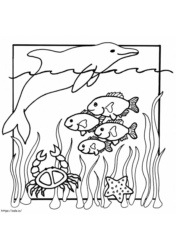 Rysunek zwierząt morskich kolorowanka
