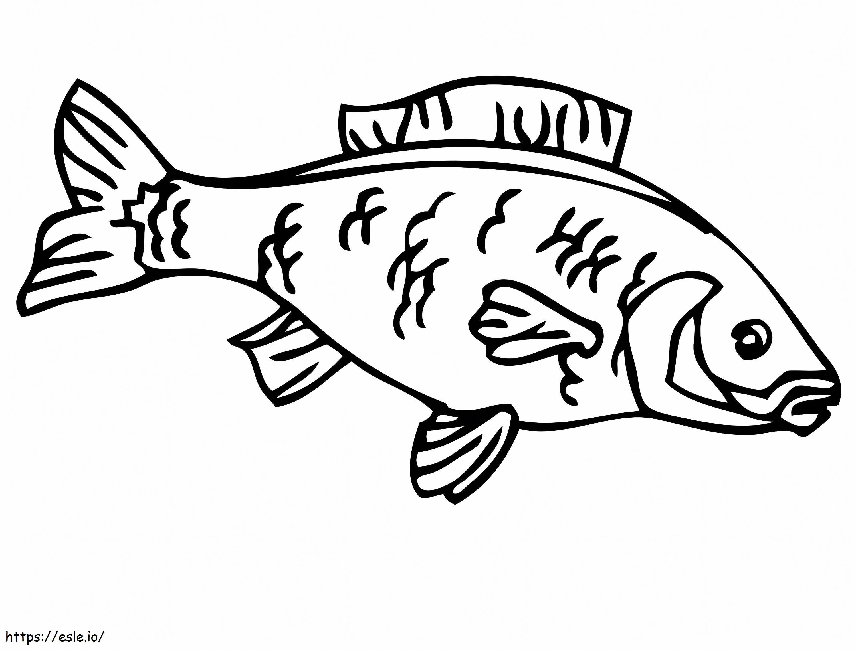 One Carp coloring page