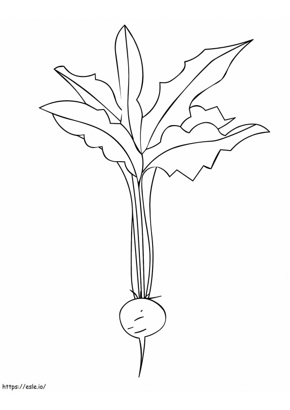 Radish With Leaf coloring page