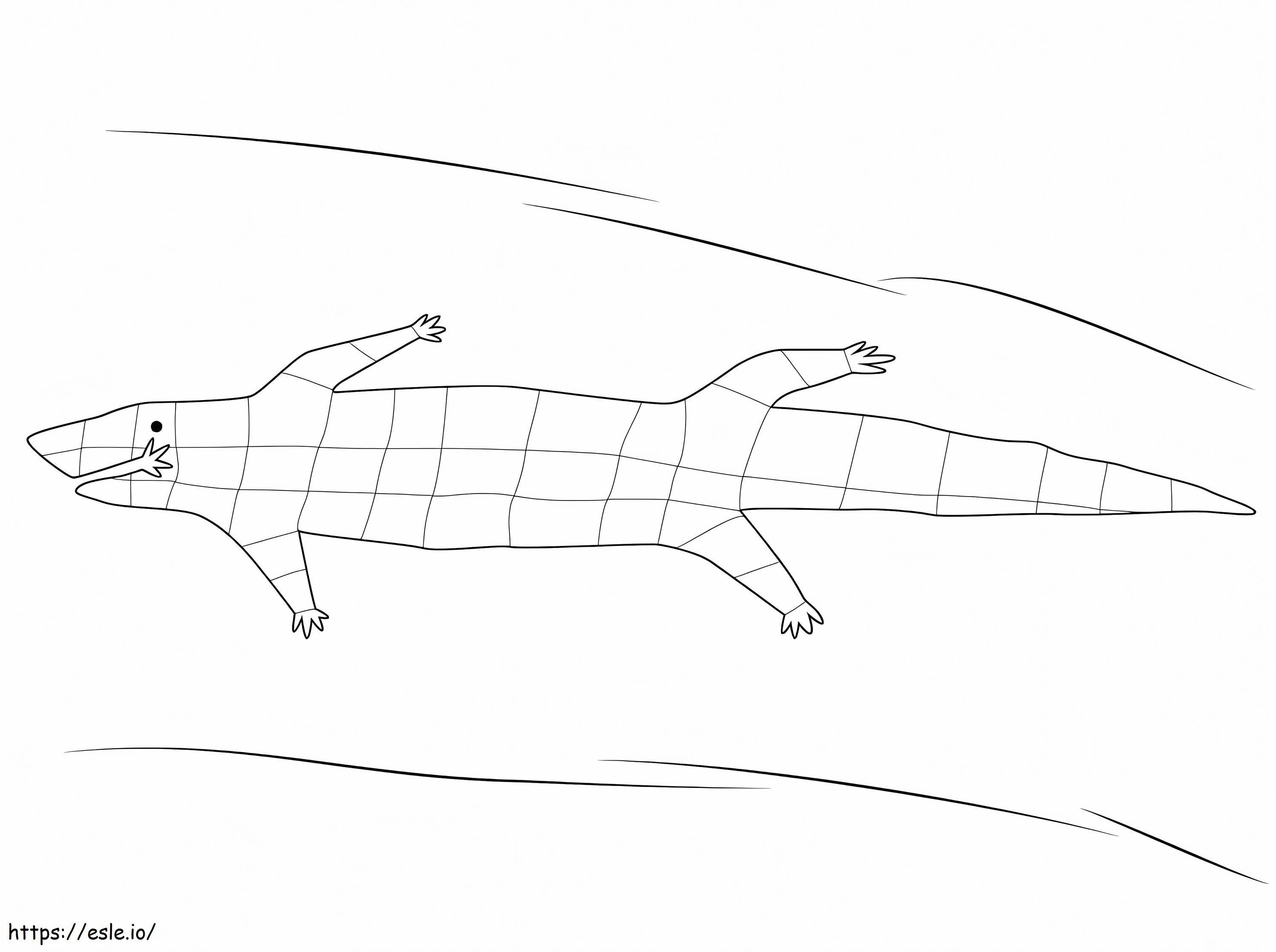 Coloriage Crocodile autochtone à imprimer dessin