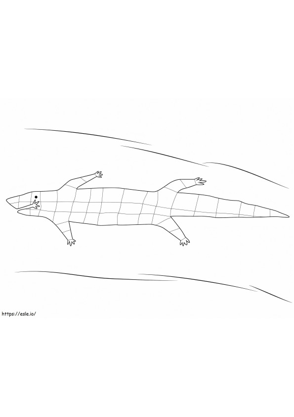 Aboriginal Crocodile coloring page