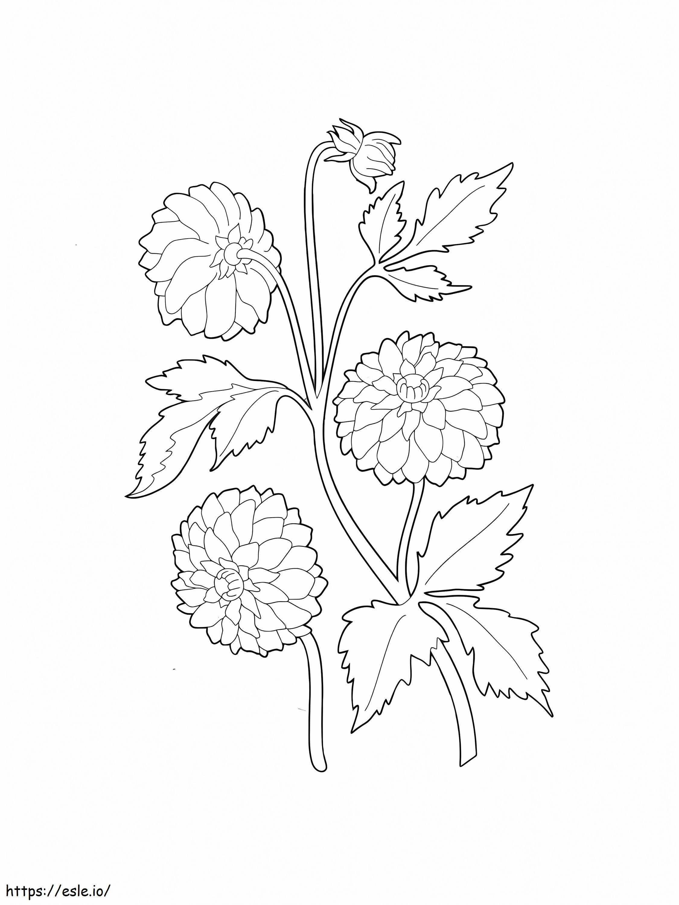 Free Printable Dahlia Flowers coloring page