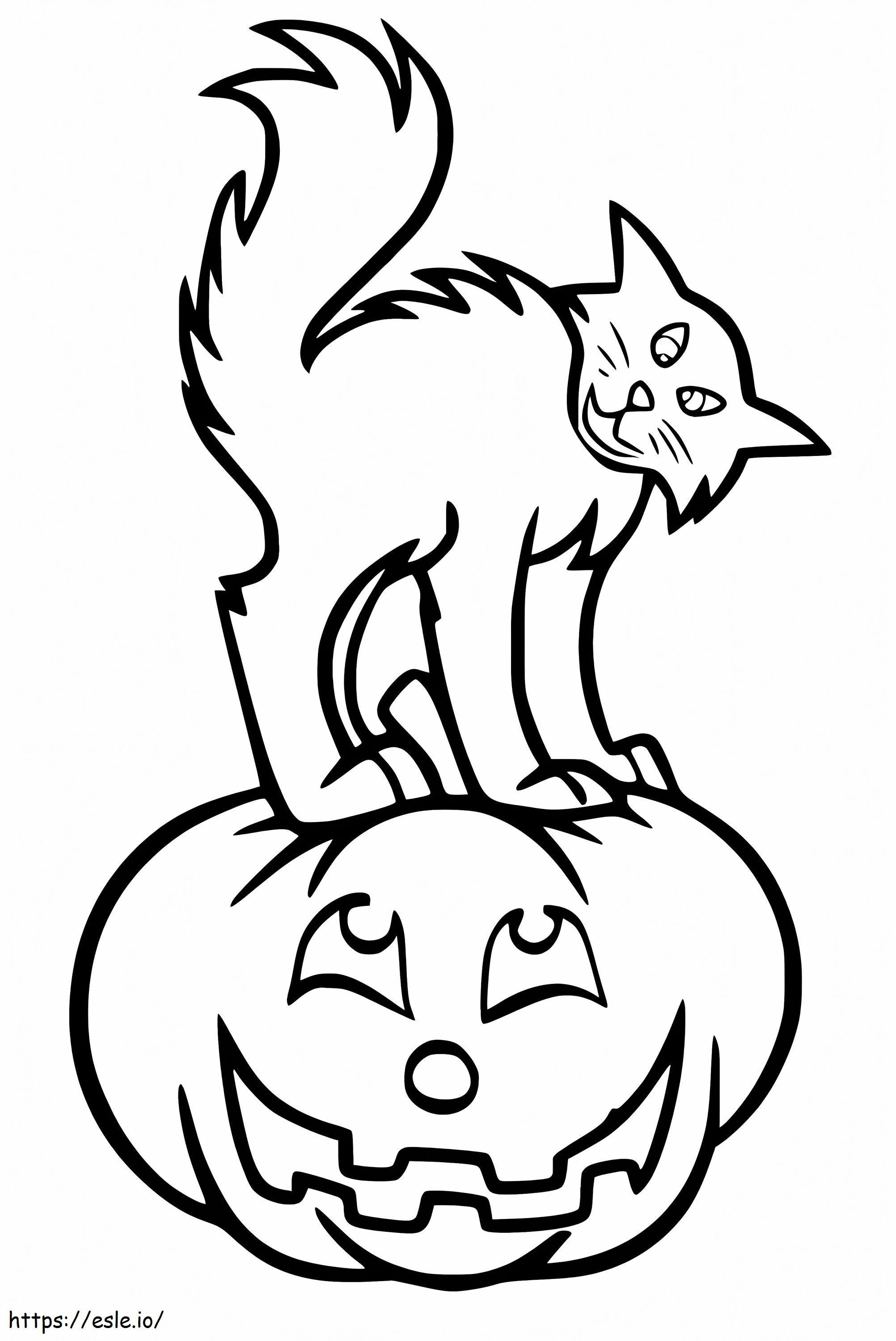 Halloween-kissa kurpitsalla värityskuva