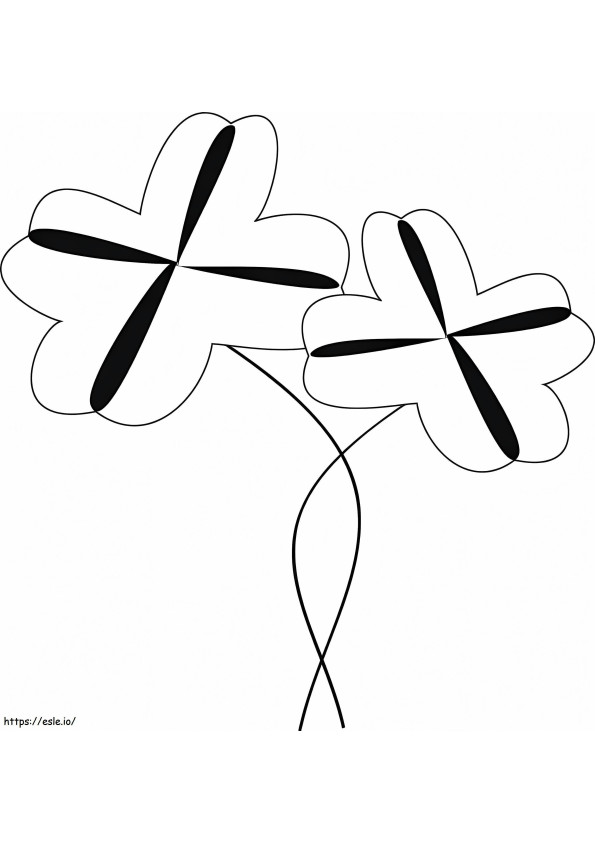 Two Four Leaf Clovers