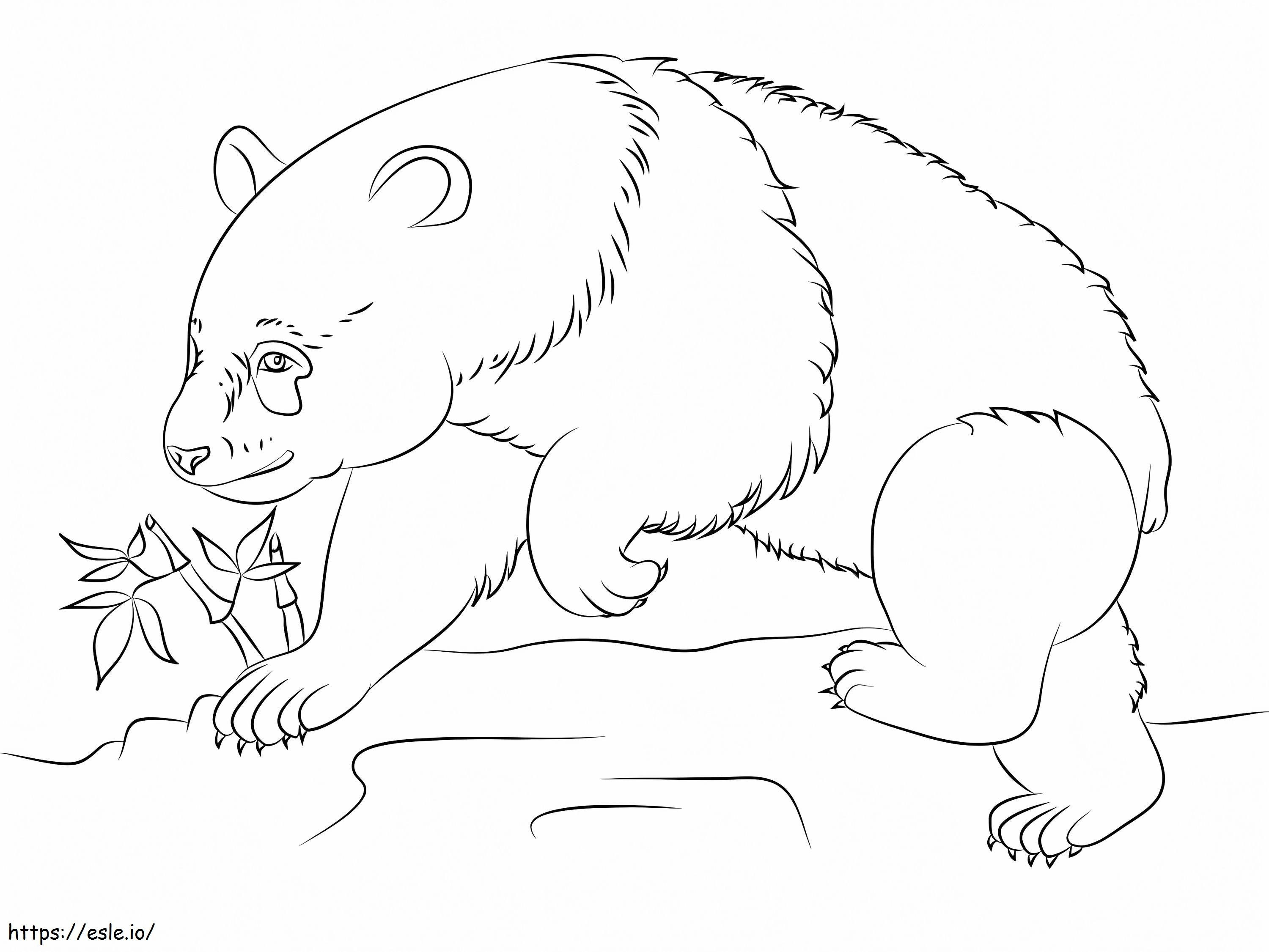 Panda Bear coloring page