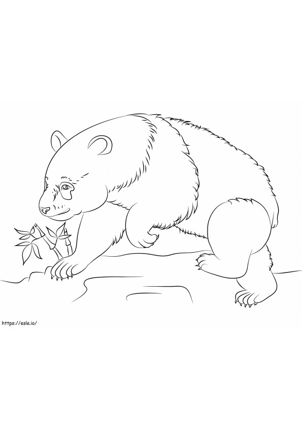 Panda Bear coloring page
