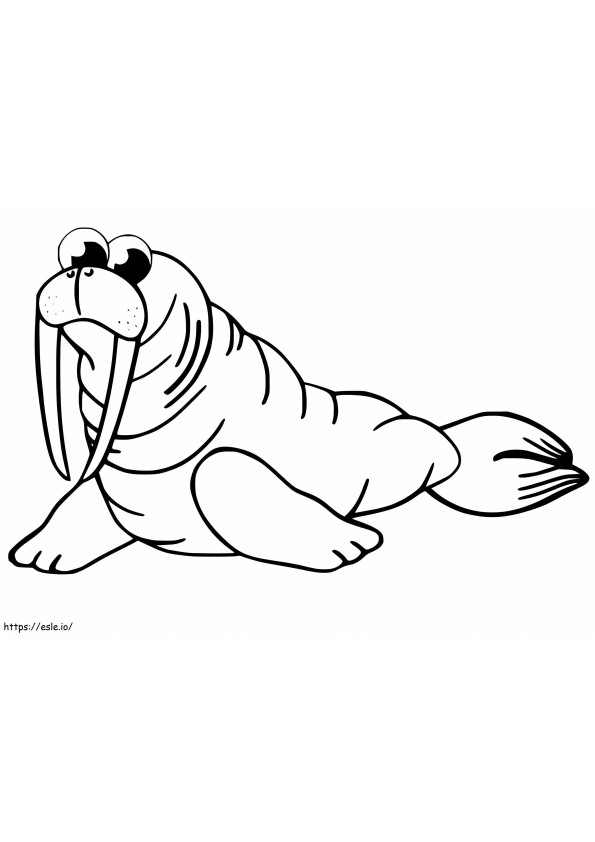 Walrus 16 coloring page