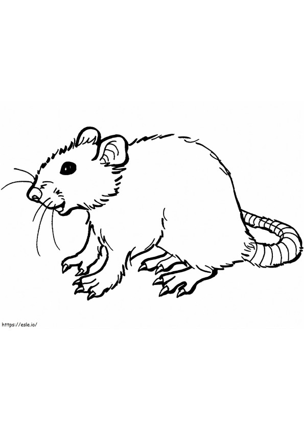 Patkány ingyenesen nyomtatható kifestő