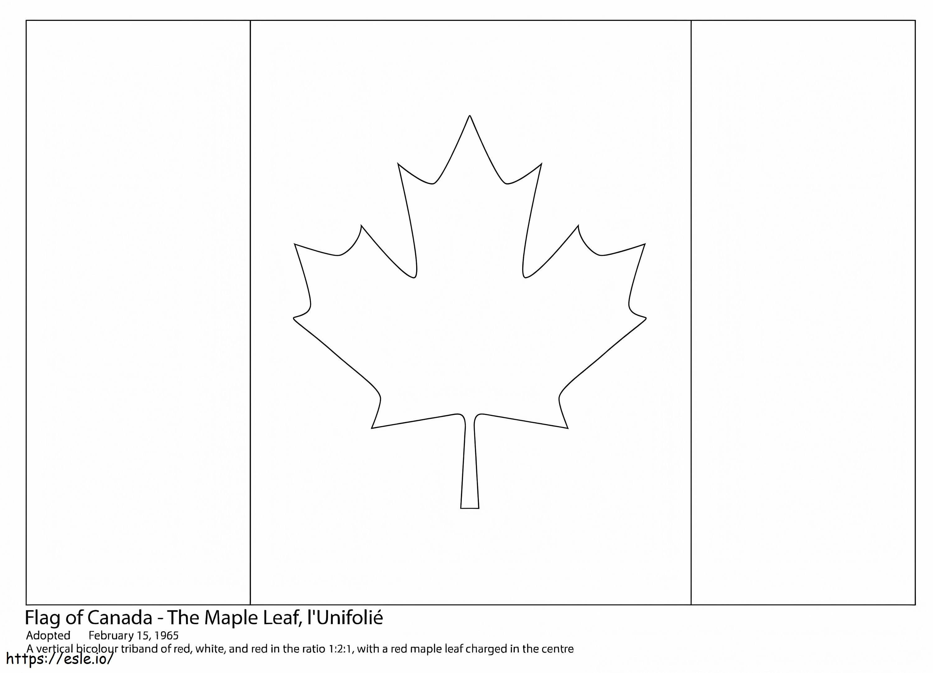 Bandiera canadese 8 da colorare