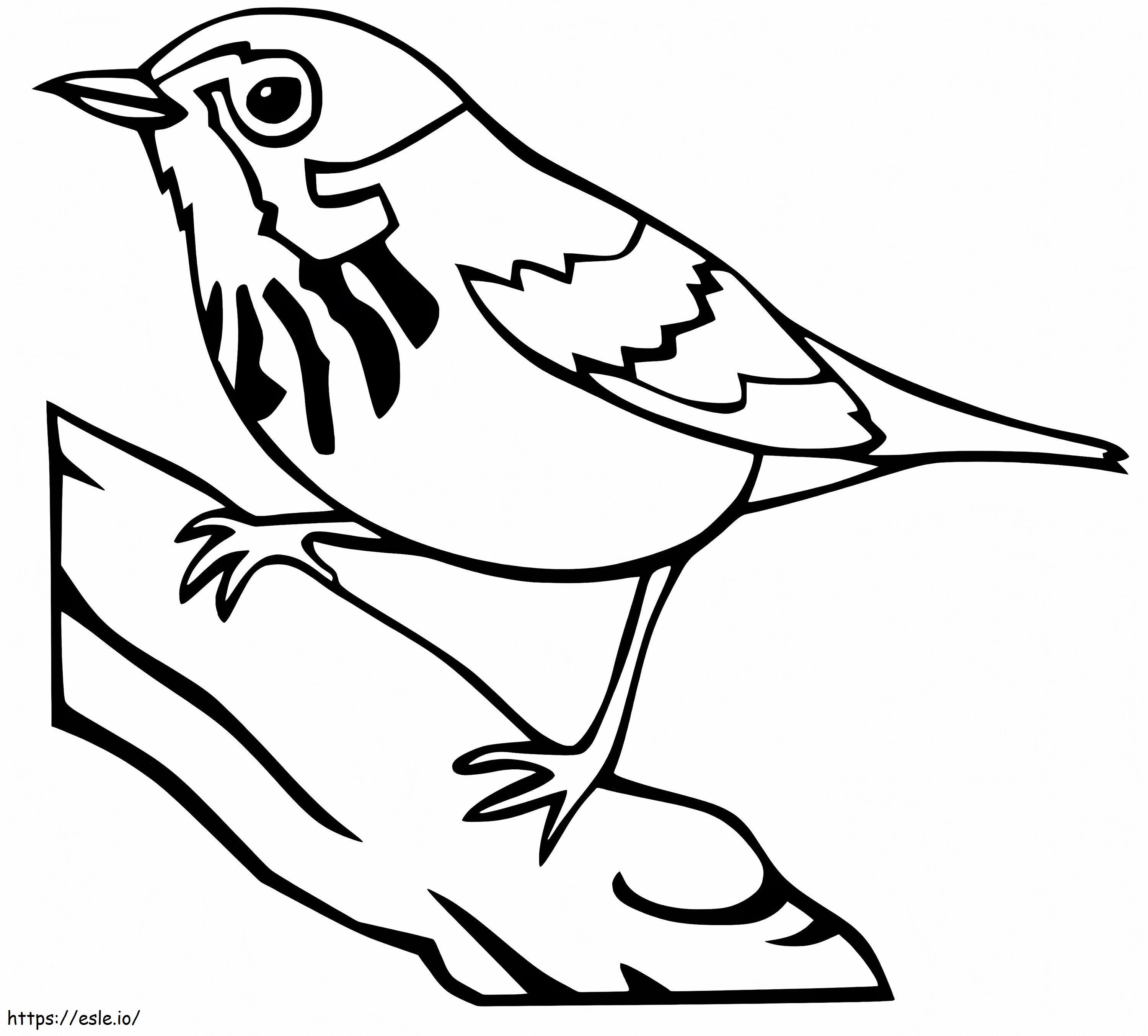 Burung pipit Chibi Gambar Mewarnai