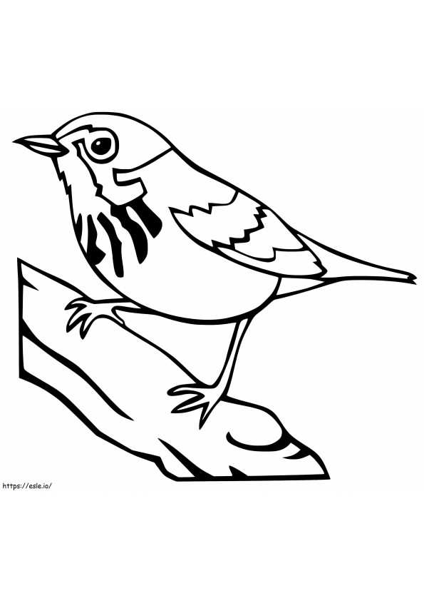 Chibi Sparrow kifestő