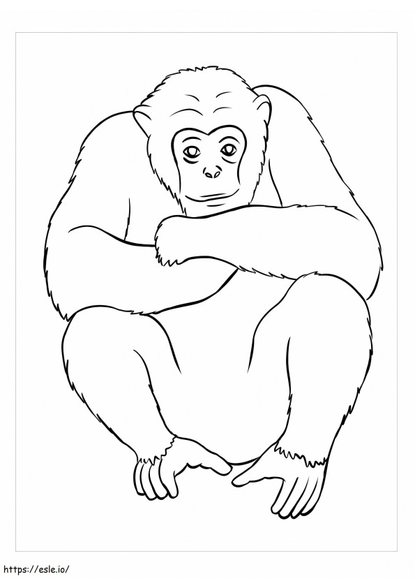 Perfekter Affe ausmalbilder