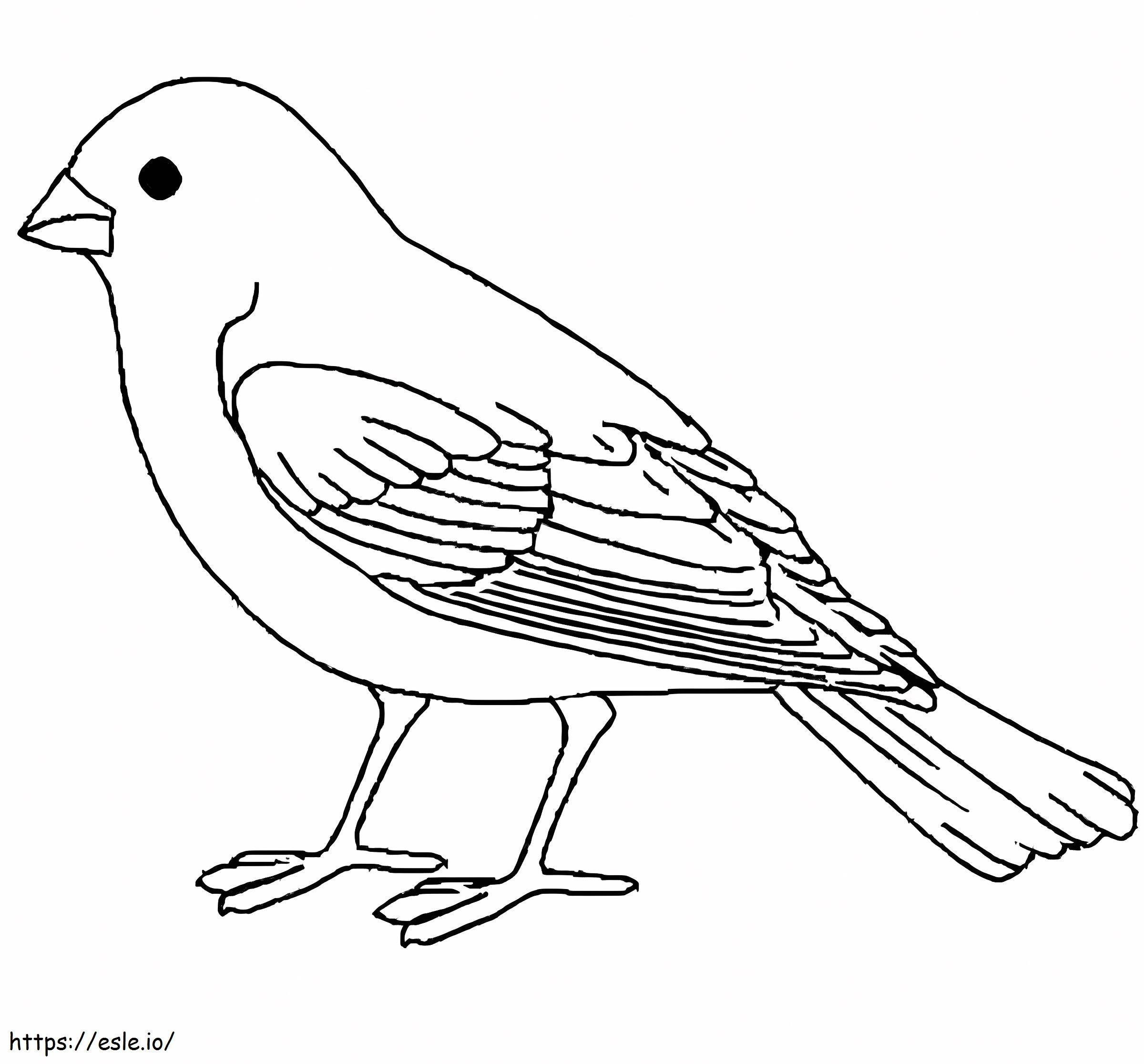 Einfacher Kanarienvogel ausmalbilder