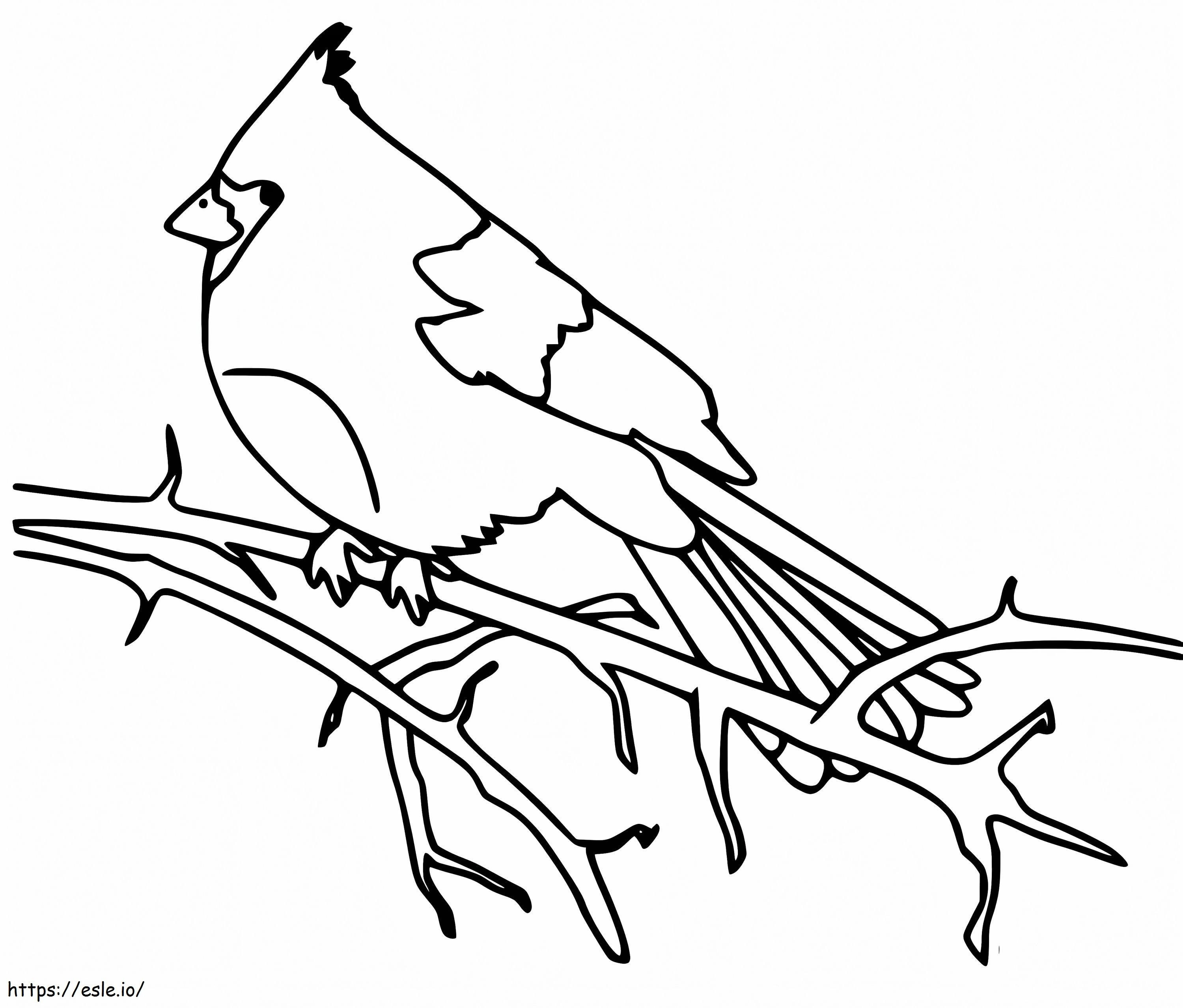 Uccello cardinale stampabile da colorare
