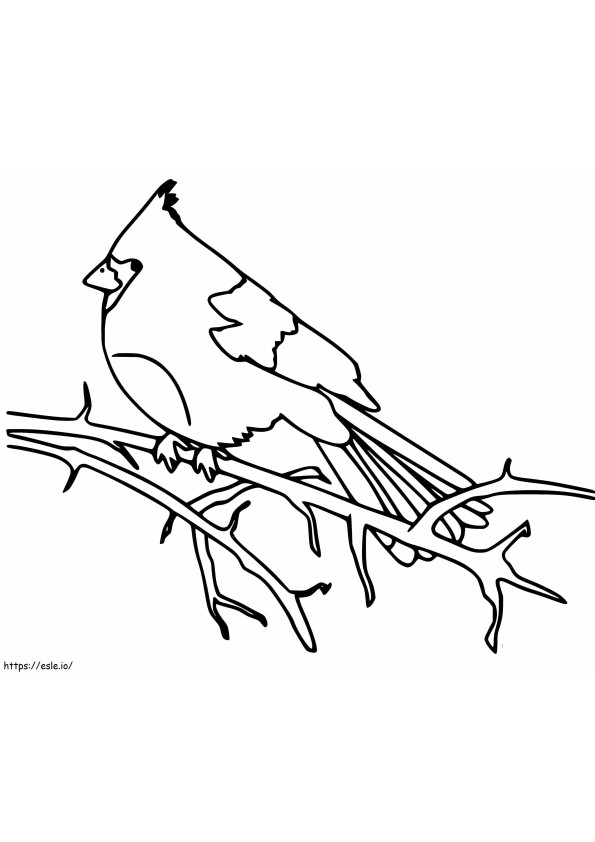 Tulostettava Cardinal Bird värityskuva