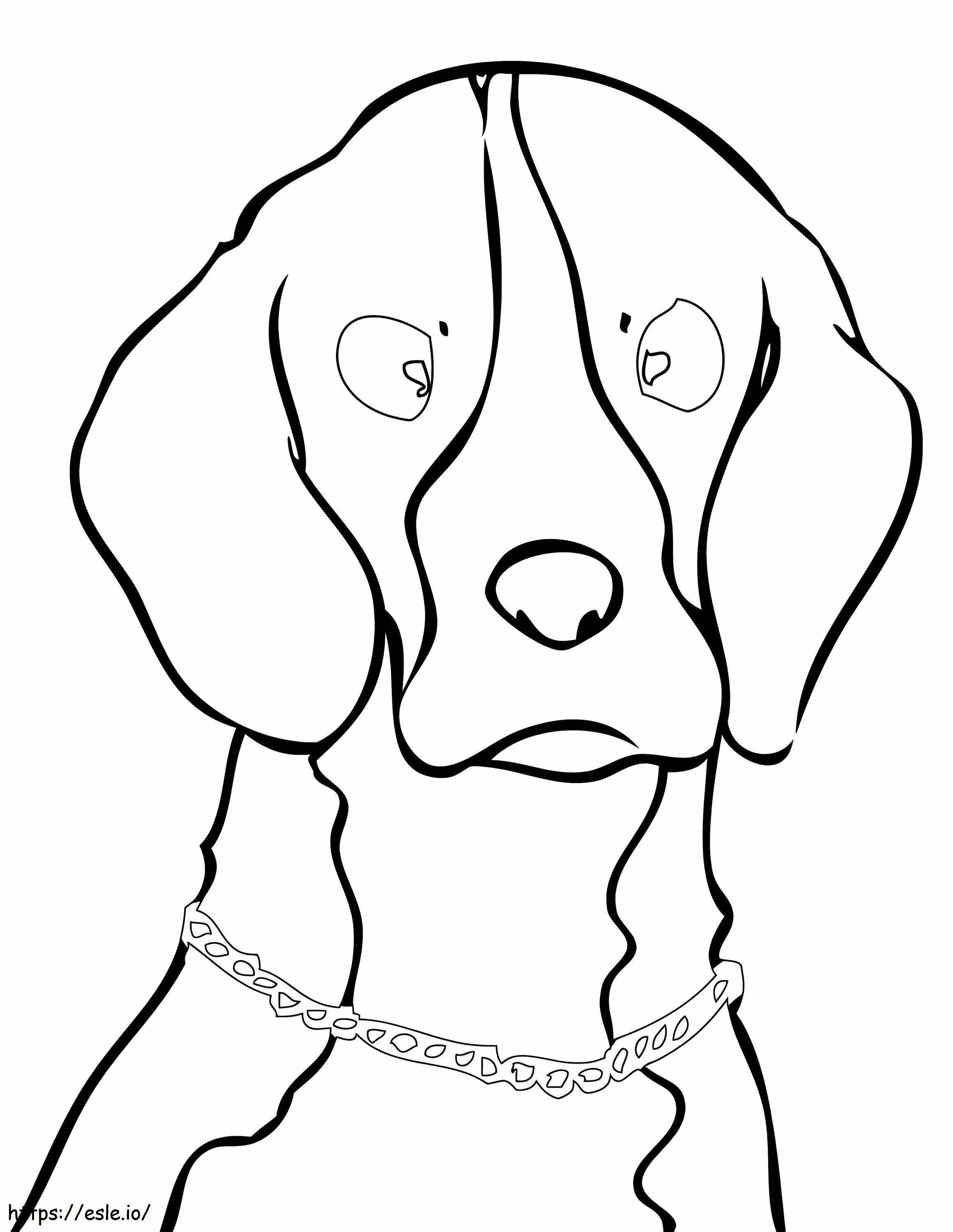 Tulostettava beagle-koira värityskuva