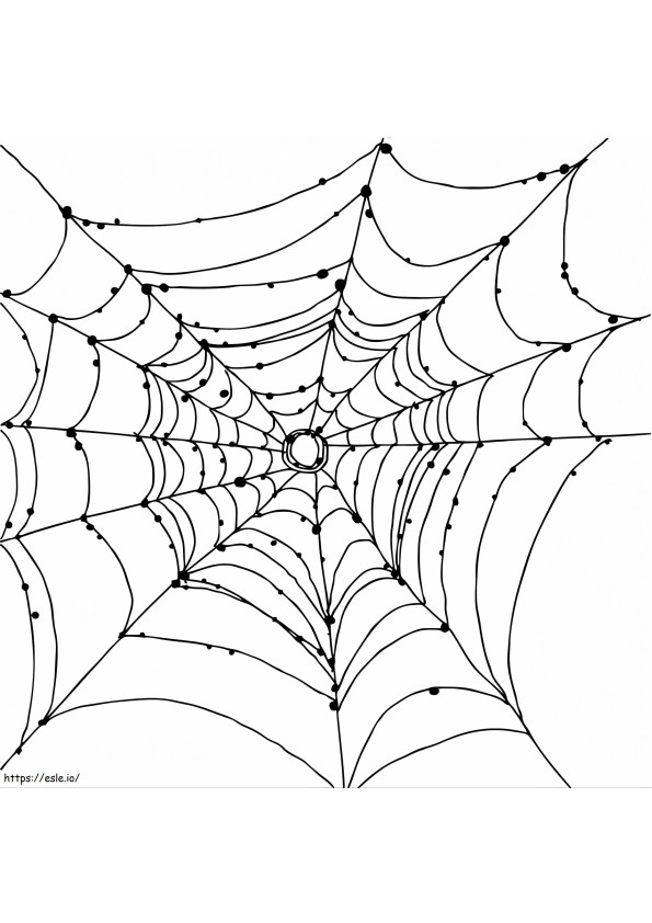 Free Spider Web coloring page