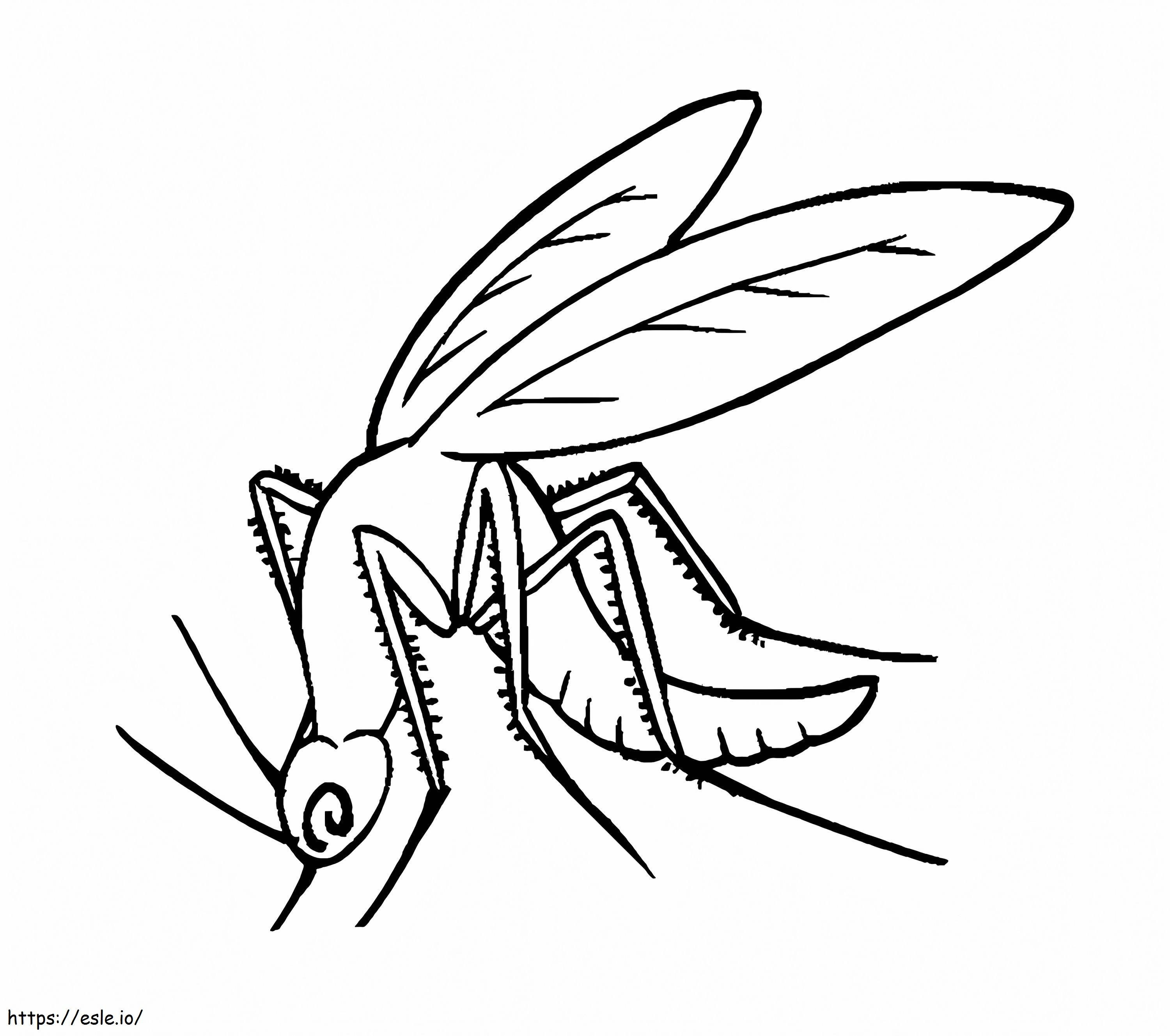 Vapaa Mosquito värityskuva