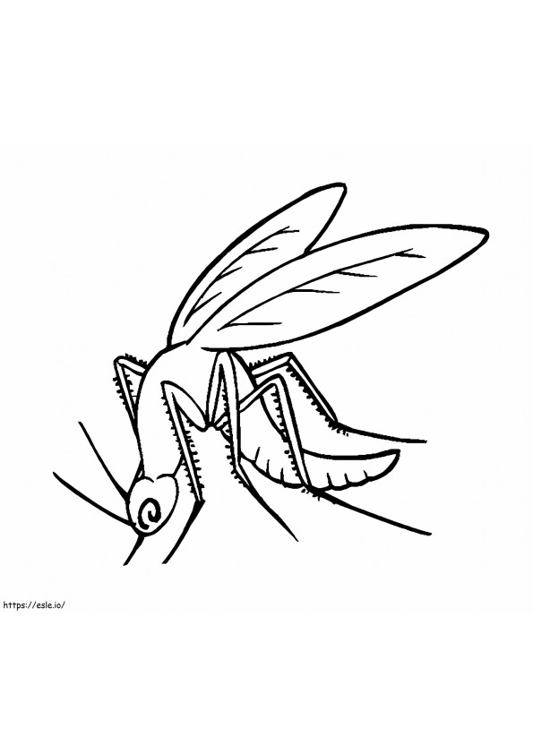 Free Mosquito coloring page