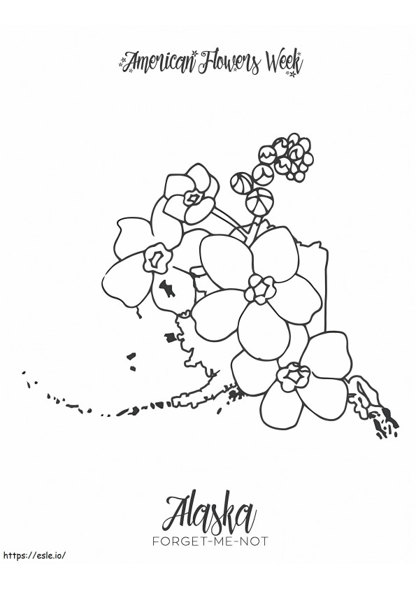 Coloriage Fleur d'État de l'Alaska Myosotis à imprimer dessin