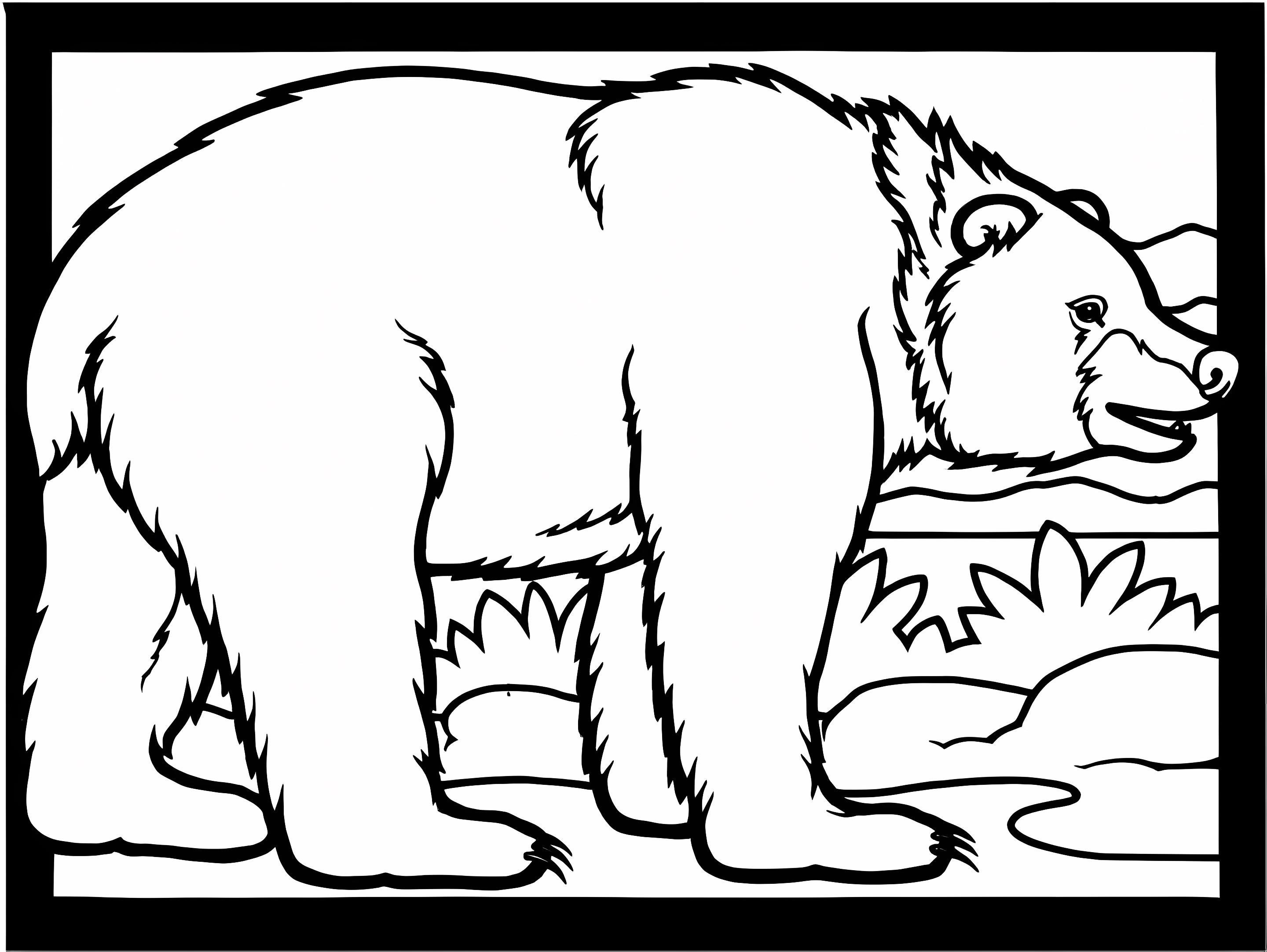 Urso Marrom 3 para colorir