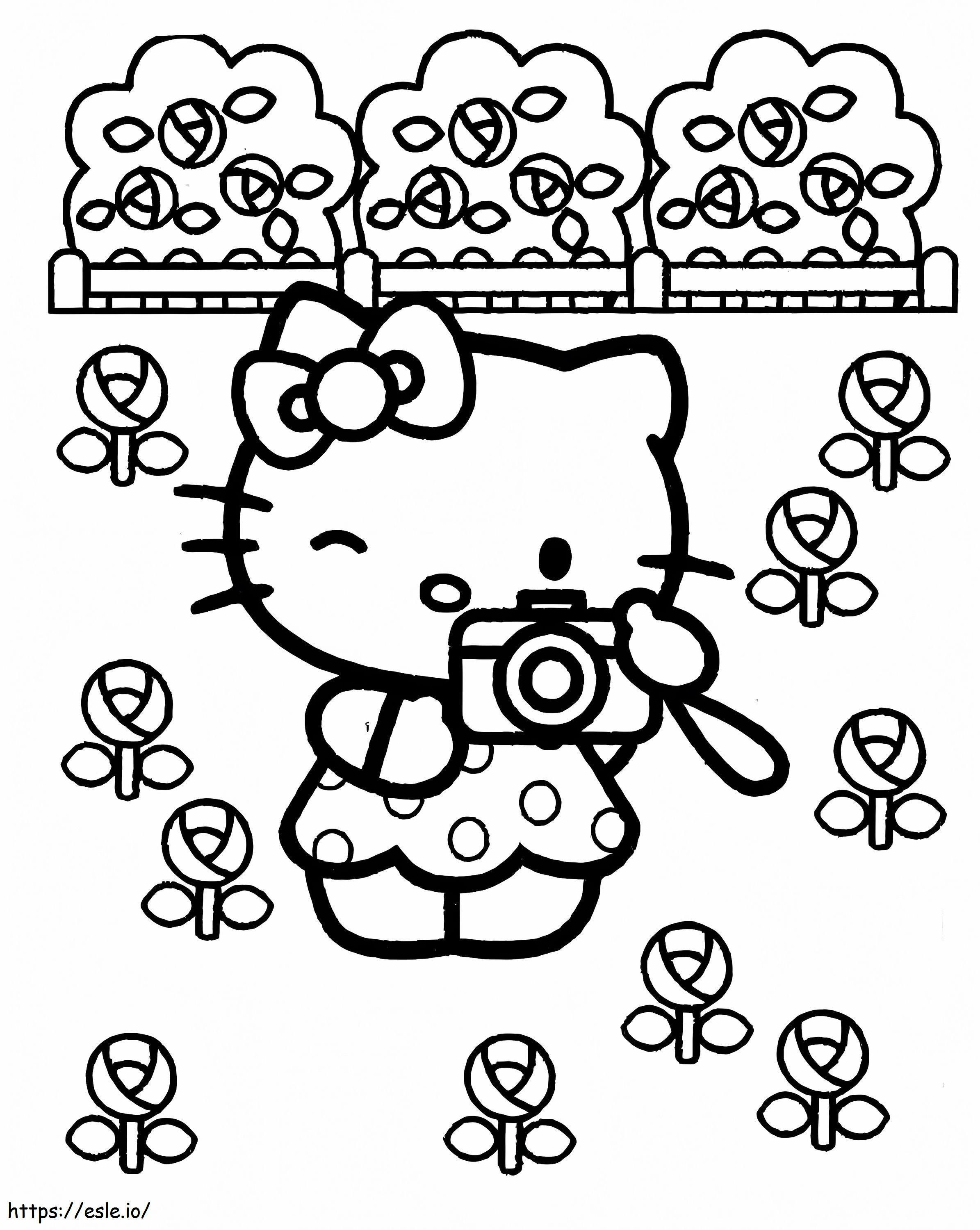 Hello Kitty ottaa kuvia kukkapuutarhasta värityskuva
