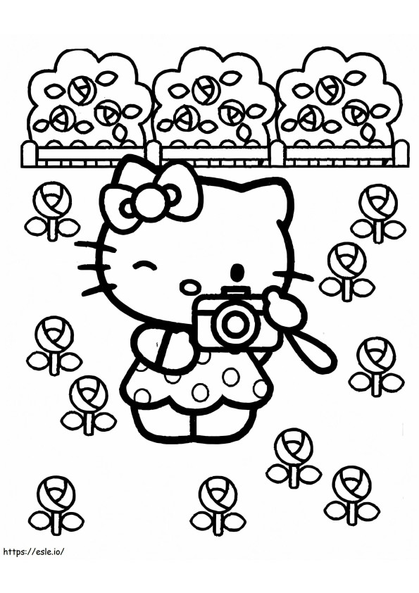 Hello Kitty Çiçek Bahçesinin Fotoğraflarını Çekiyor boyama