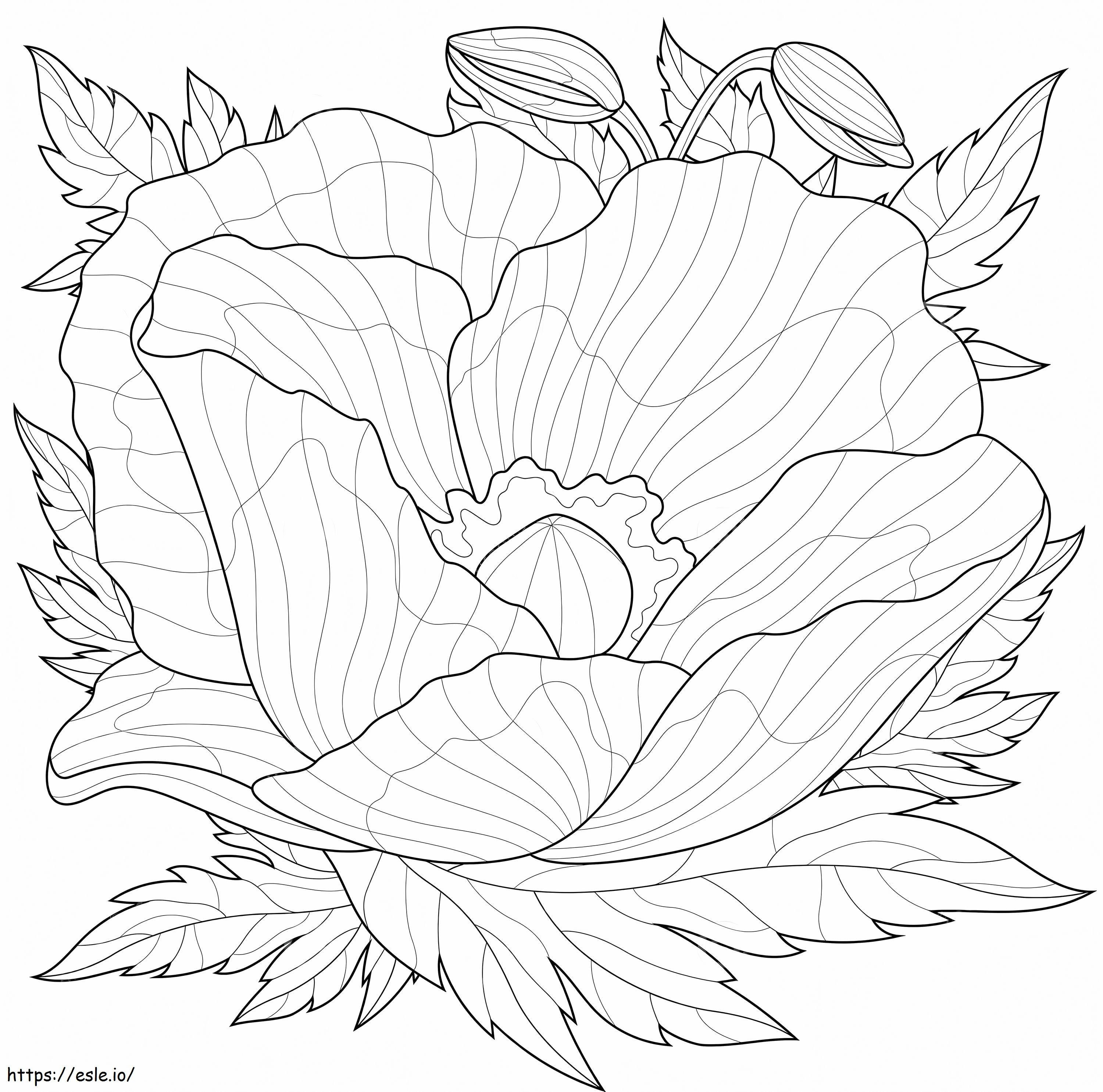 Poppy With Leaves Around coloring page