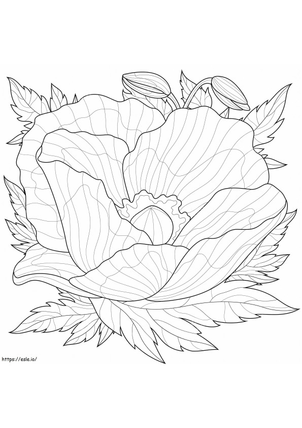 Coloriage Coquelicot avec des feuilles autour à imprimer dessin
