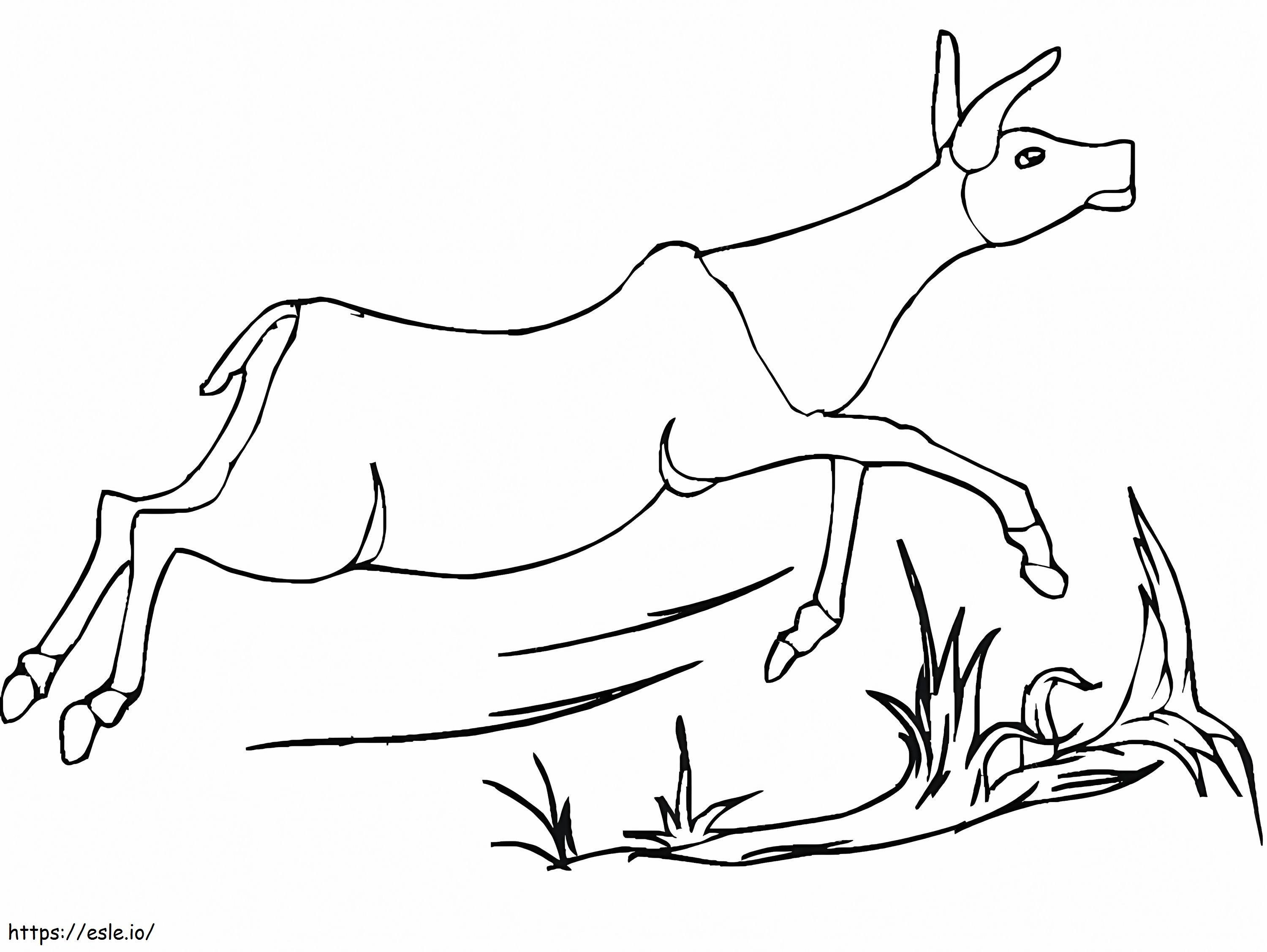 Antilooppi juoksee värityskuva