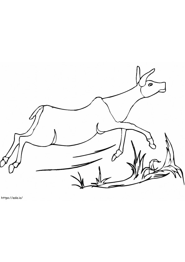 Antelope Runs coloring page
