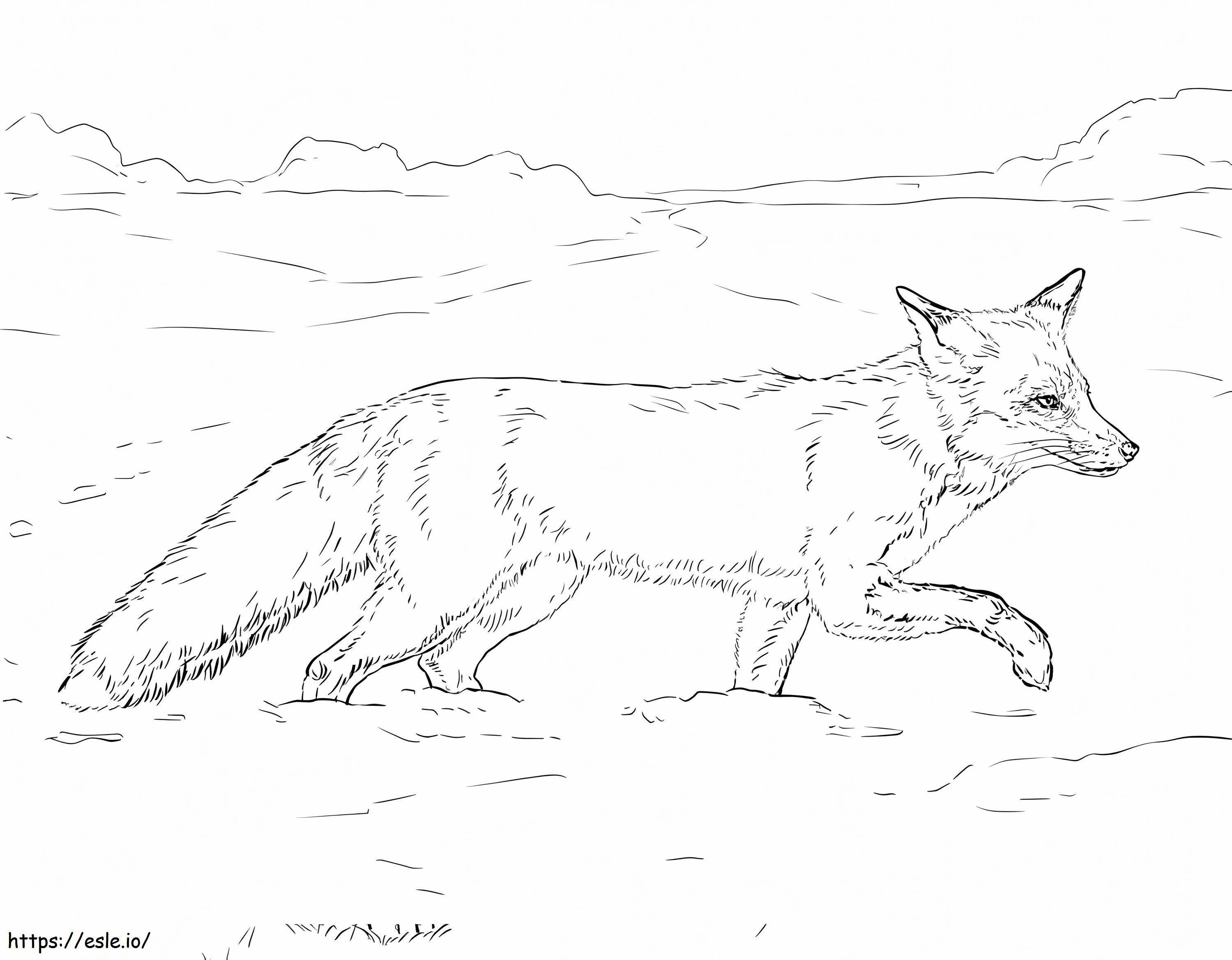 Red Fox Walking On Snow 1024X798 coloring page