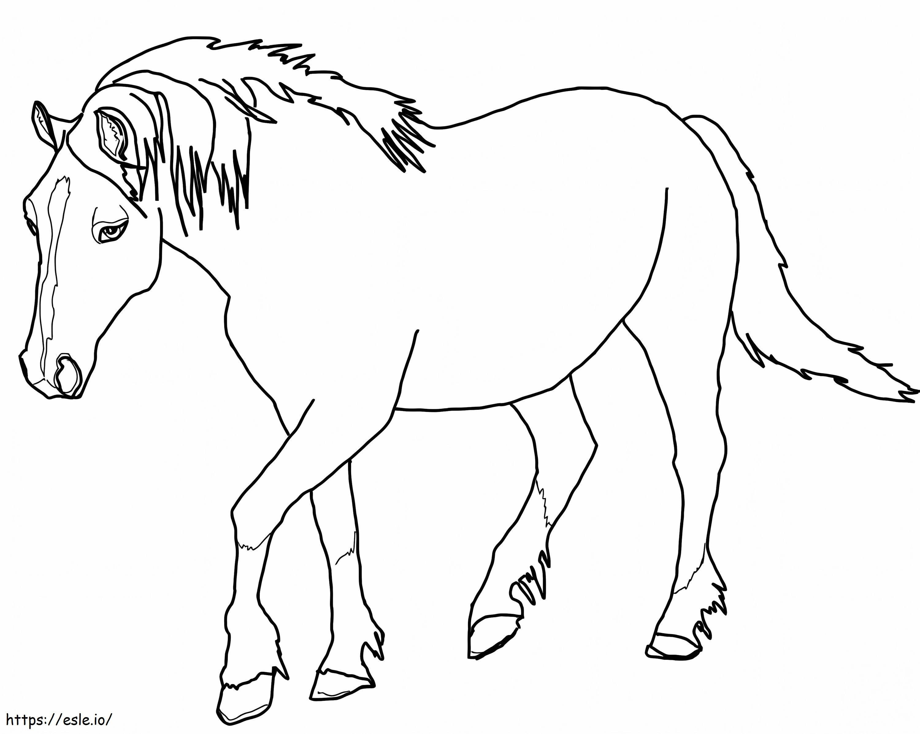 Cavallo gallese Palomino da colorare