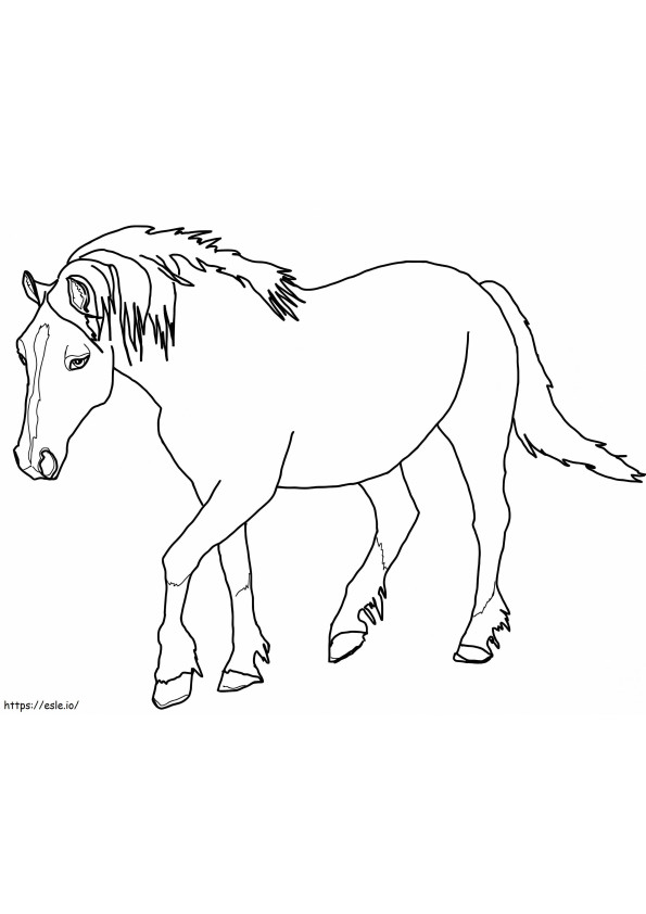 Cavalo Galês Palomino para colorir
