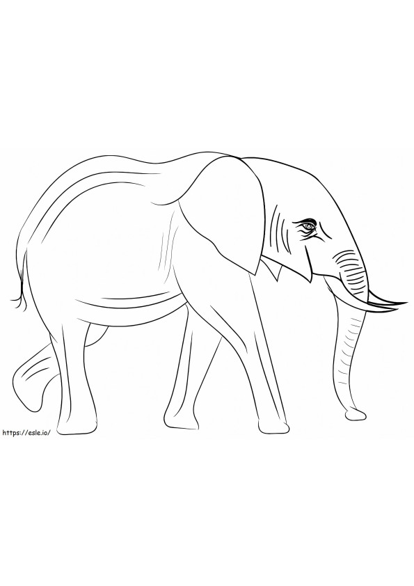 Afrikkalainen norsu värityskuva