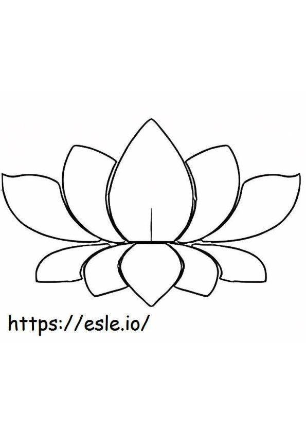 Coloriage Vecteur de lotus à imprimer dessin
