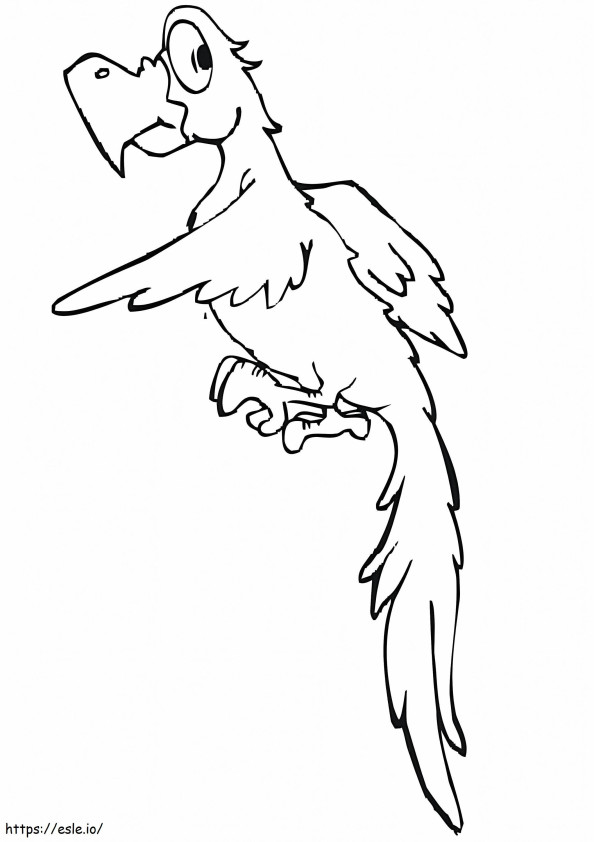 Zabawna papuga kolorowanka